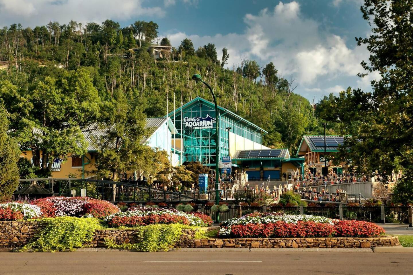 Views I Mins To Dollywood I Hot Tub I Pool Table Villa Sevierville Ngoại thất bức ảnh