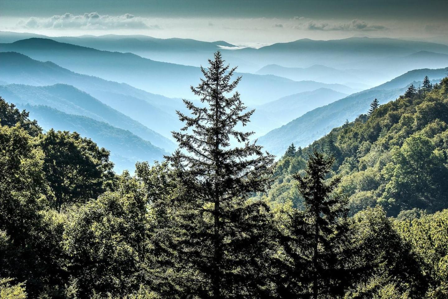 Views I Mins To Dollywood I Hot Tub I Pool Table Villa Sevierville Ngoại thất bức ảnh